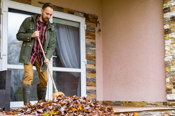 Best Dumpster Rental Services  in Maxwell, CA